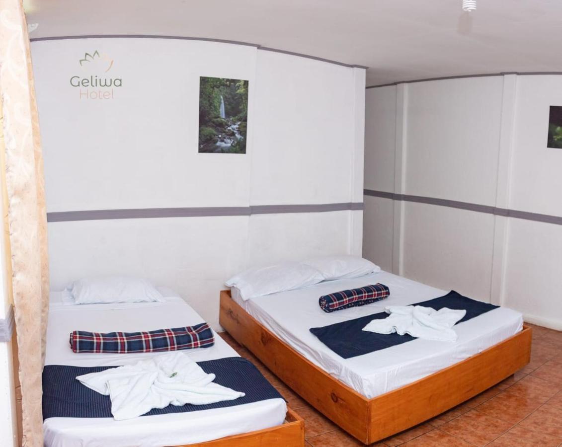 Geliwa B&B Turrialba Zewnętrze zdjęcie